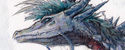 O'Connell Dragon (sketch by Dratz)